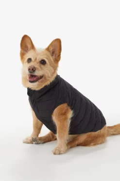 LOLE Ellie Dog Jacket - Black