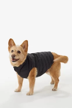 LOLE Ellie Dog Jacket - Black -Urban Fit Shop LAW0872 N101 3 1900x scaled