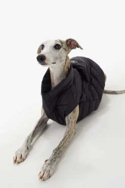 LOLE Ellie Dog Jacket - Black -Urban Fit Shop LAW0872 N101 5 1900x scaled