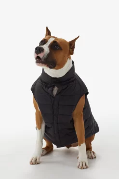 LOLE Ellie Dog Jacket - Black -Urban Fit Shop LAW0872 N101 6 1900x scaled