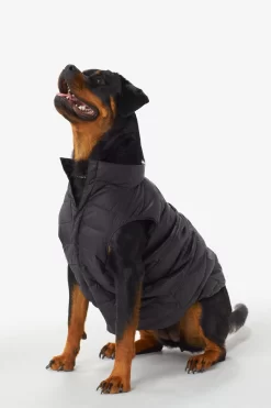 LOLE Ellie Dog Jacket - Black -Urban Fit Shop LAW0872 N101 7 1900x scaled
