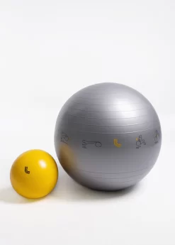 LOLE Prima Balance Ball Duo - Silver